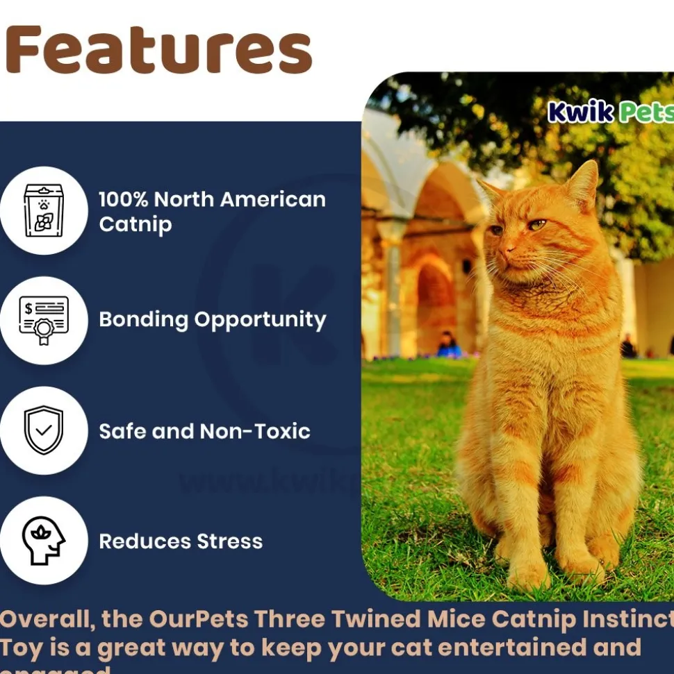 OurPets Play-N-Squeak Real Mouse Shake y'r Tail Feather Cat Toy