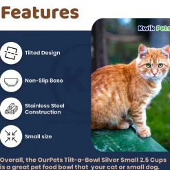 OurPets Stainless Steel Tilt-A-Bowl Small Dog & Cat Bowl 2.5-in