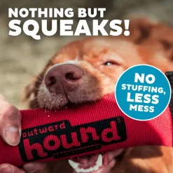 Outward Hound Firehose Squeak N Fetch Dog Toy Medium
