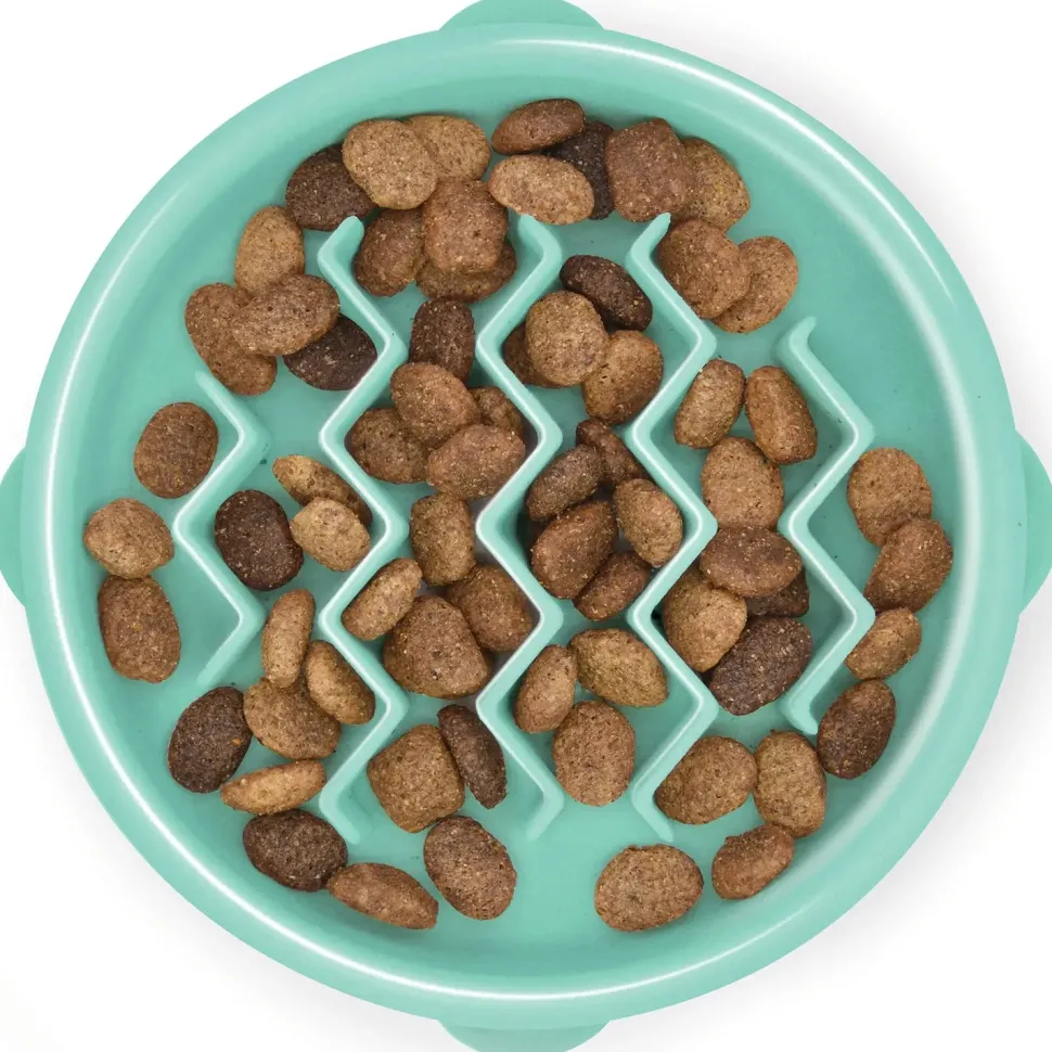 Outward Hound Fun Feeder Interactive Dog Bowl Slow Feeder Mint Extra Small