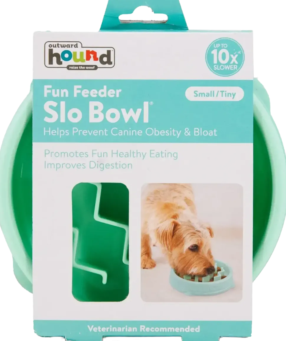 Outward Hound Fun Feeder Interactive Dog Bowl Slow Feeder Mint Extra Small