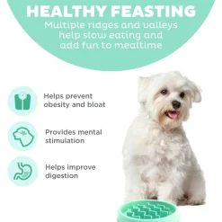Outward Hound Fun Feeder Interactive Dog Bowl Slow Feeder Mint Extra Small