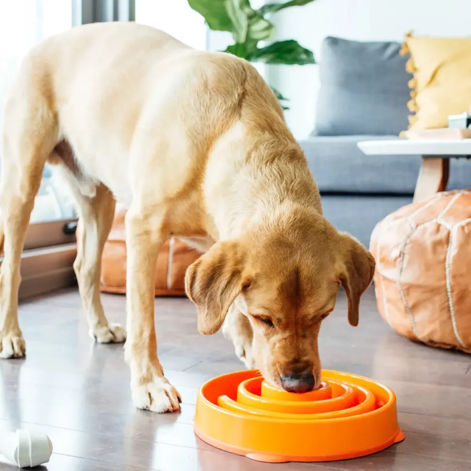 Outward Hound Fun Feeder Interactive Dog Bowl Slow Feeder Orange Large
