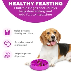 Outward Hound Fun Feeder Interactive Dog Bowl Slow Feeder Purple Small