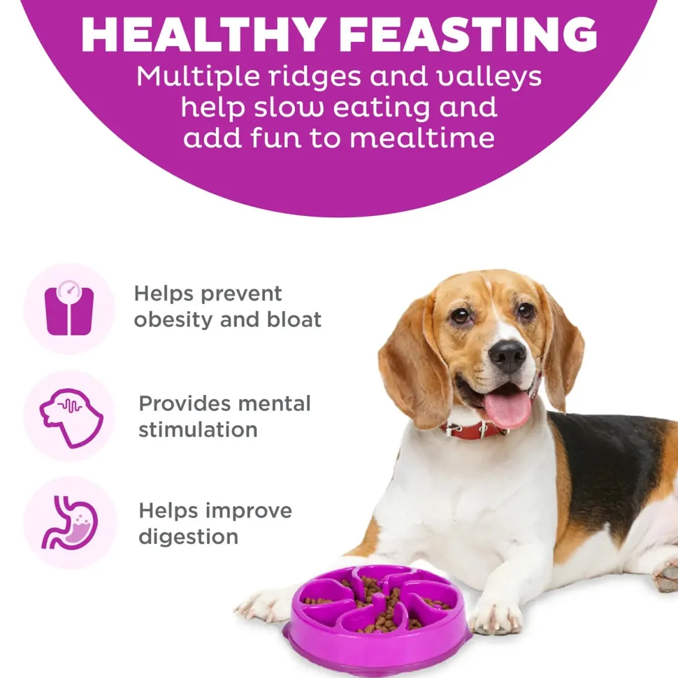 Outward Hound Fun Feeder Interactive Dog Bowl Slow Feeder Purple Small