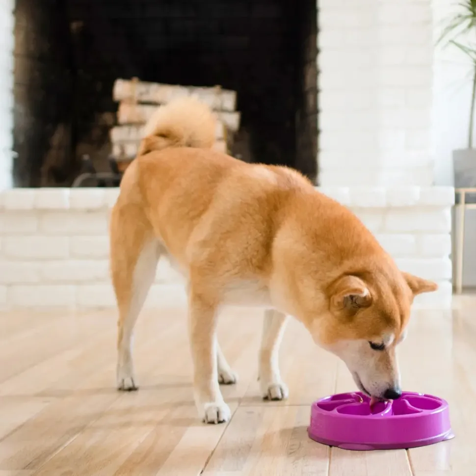 Outward Hound Fun Feeder Interactive Dog Bowl Slow Feeder Purple Small
