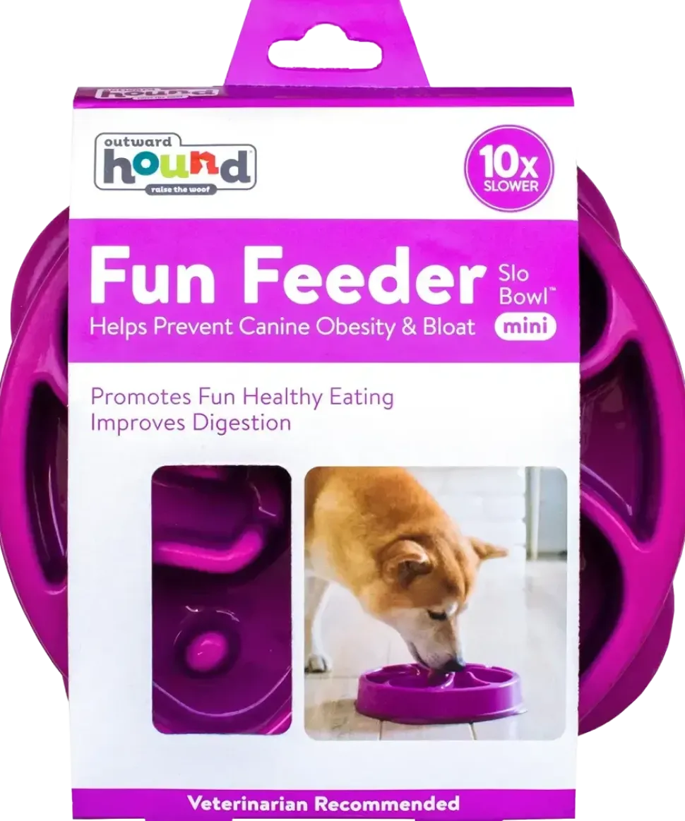 Outward Hound Fun Feeder Interactive Dog Bowl Slow Feeder Purple Small