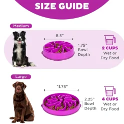 Outward Hound Fun Feeder Interactive Dog Bowl Slow Feeder Purple Small