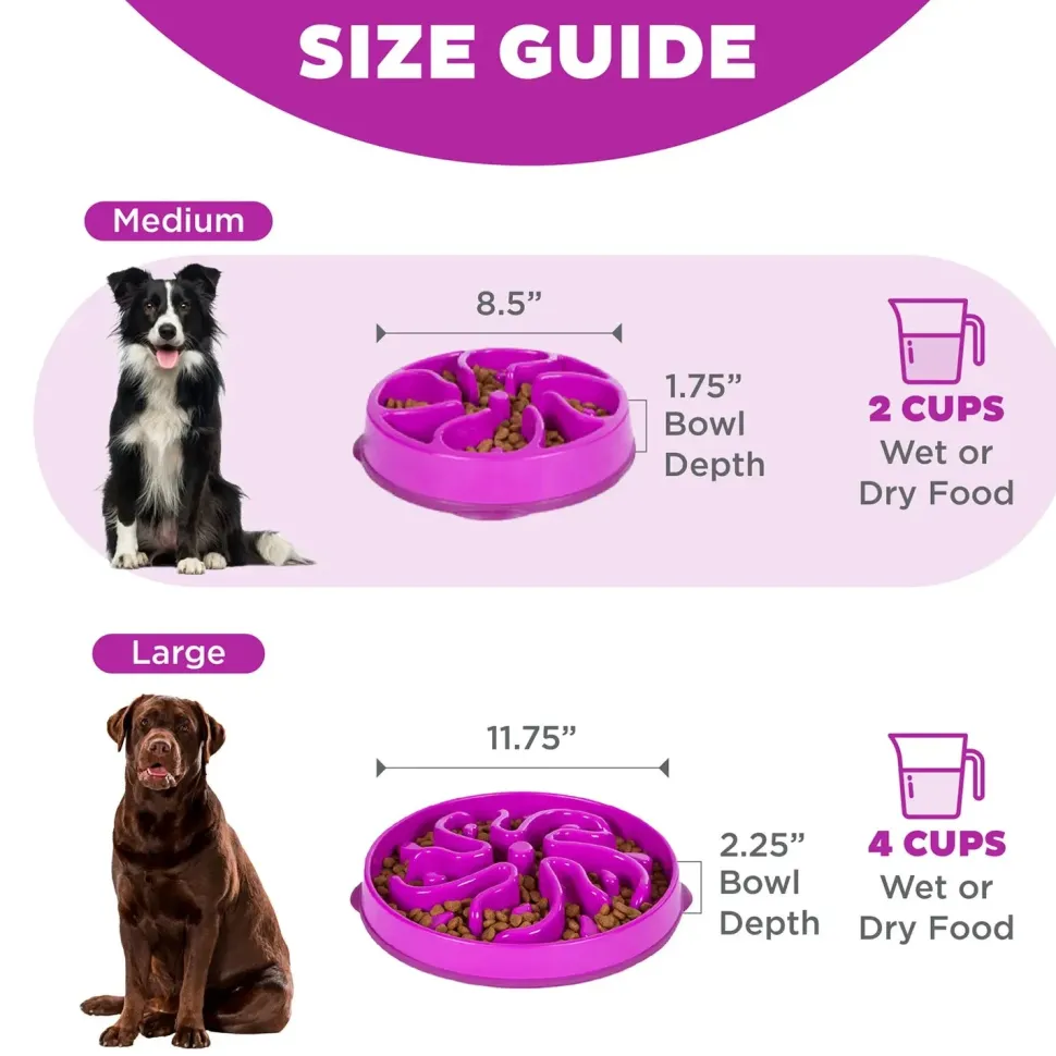 Outward Hound Fun Feeder Interactive Dog Bowl Slow Feeder Purple Small
