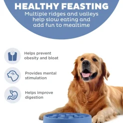 Outward Hound Fun Feeder Interactive Dog Bowl Slow Feeder Blue Large