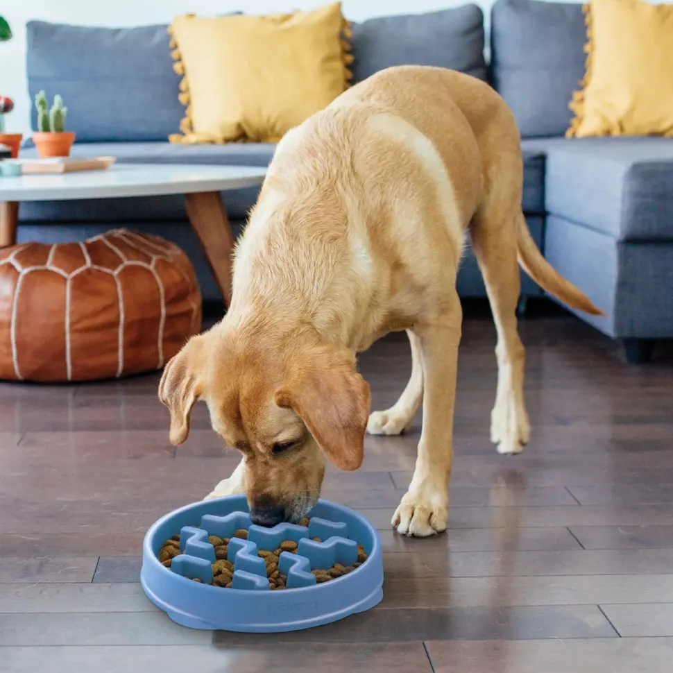 Outward Hound Fun Feeder Interactive Dog Bowl Slow Feeder Blue Large