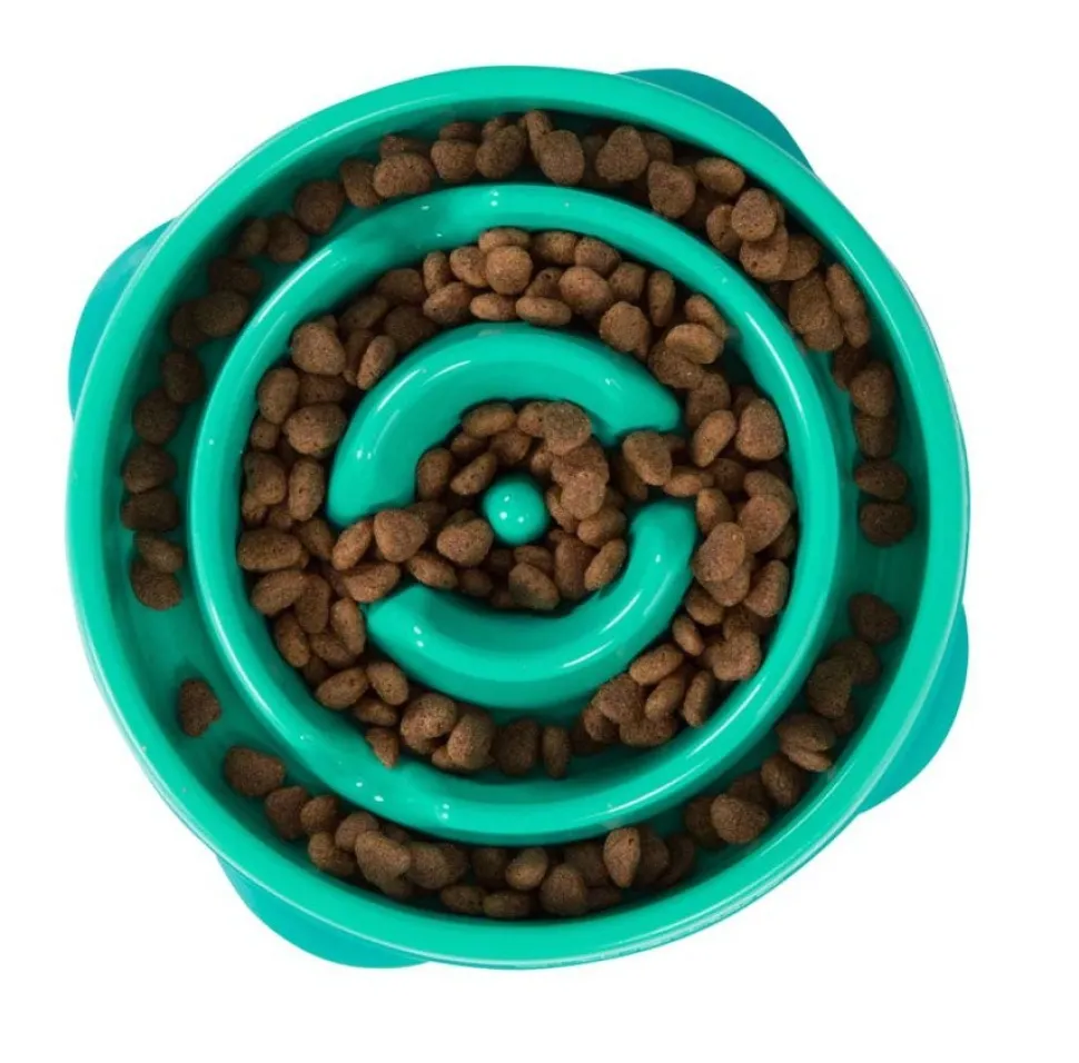 Outward Hound Fun Feeder Slow Feeder Dog Bowl Turquoise Medium