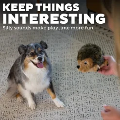 Outward Hound Hedgehog Dog Toy Medium