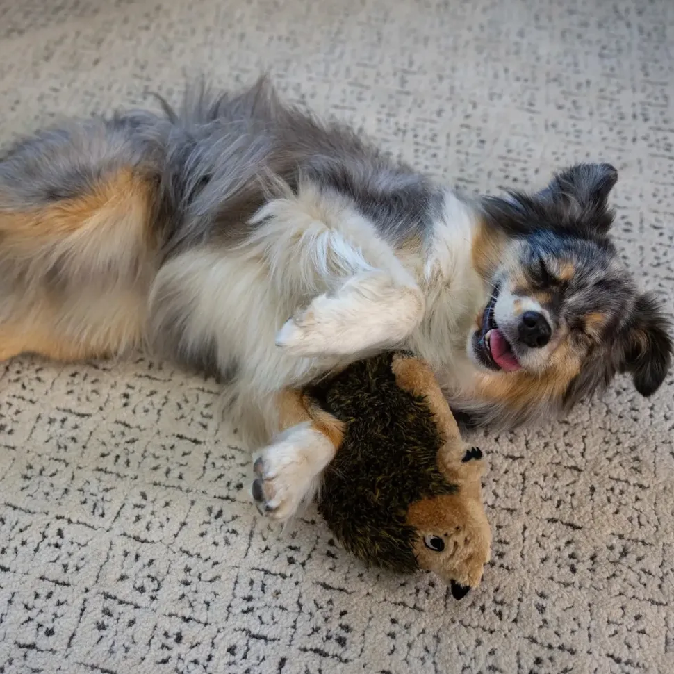 Outward Hound Hedgehog Dog Toy Medium