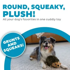 Outward Hound Hedgehog Dog Toy Medium
