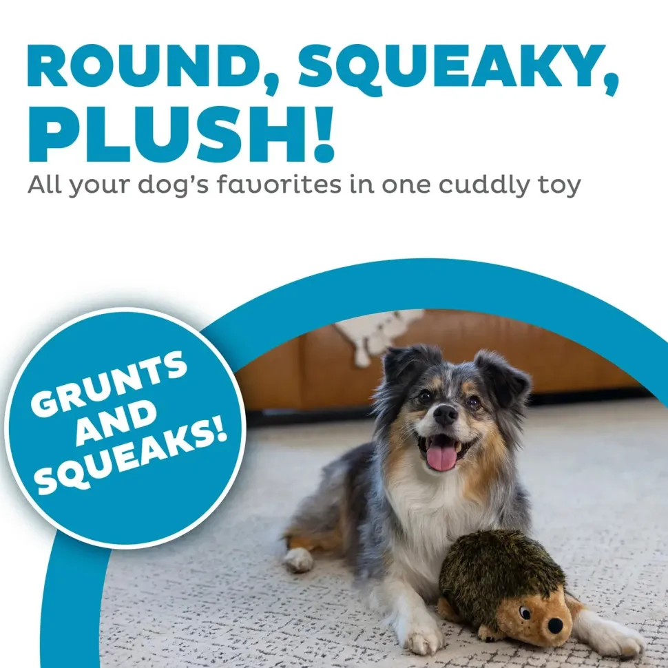 Outward Hound Hedgehog Dog Toy Medium
