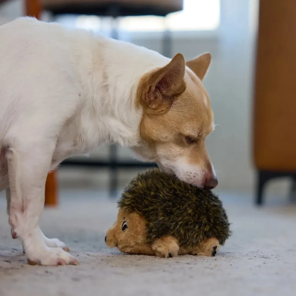 Outward Hound Hedgehog Dog Toy Small