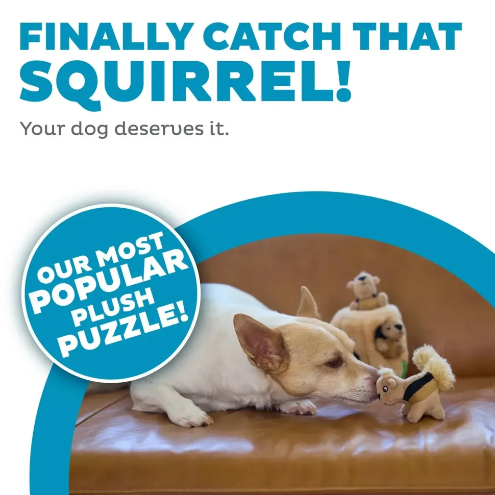 Outward Hound Hide-A-Squirrel Dog Toy Small