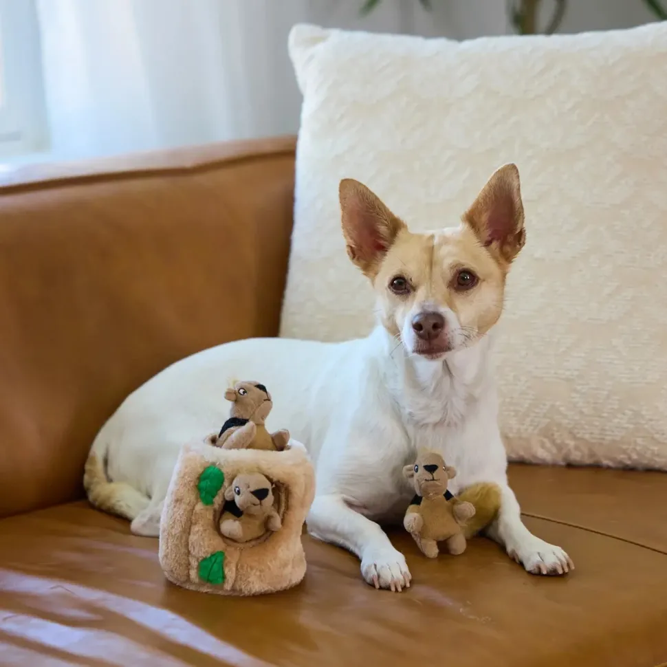 Outward Hound Hide-A-Squirrel Dog Toy Small