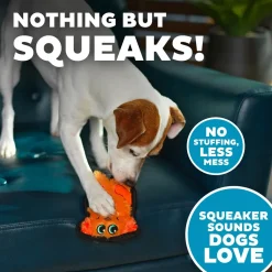 Outward Hound Invincibles Mini Dog Toy Dog XS