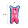 Outward Hound Invincibles Mini Dog Toy Pig XS