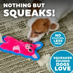 Outward Hound Invincibles Mini Dog Toy Pig XS