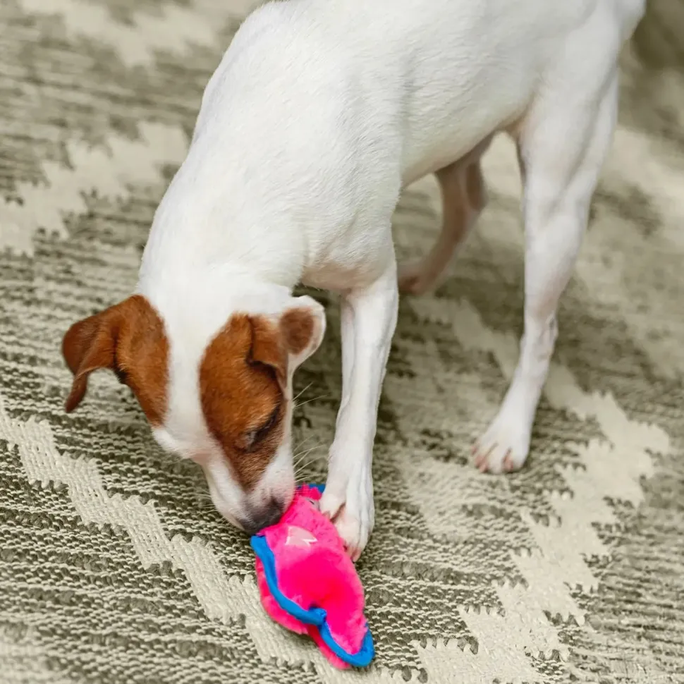 Outward Hound Invincibles Mini Dog Toy Pig XS