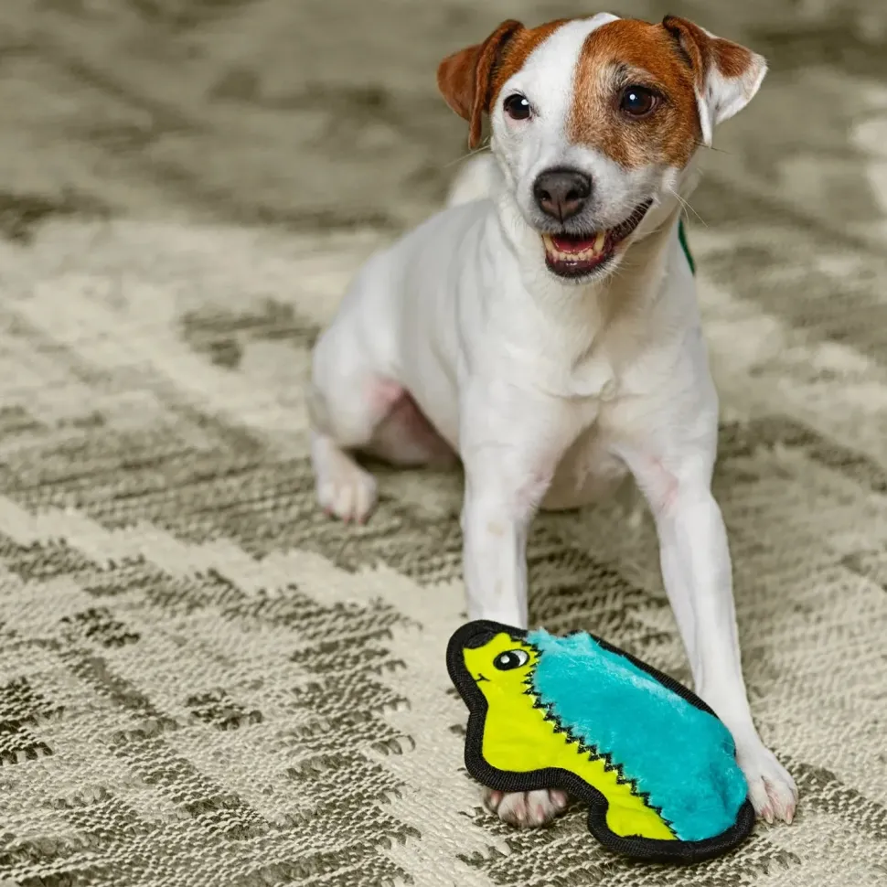 Outward Hound Invincibles Mini Dog Toy Hedgehog XS