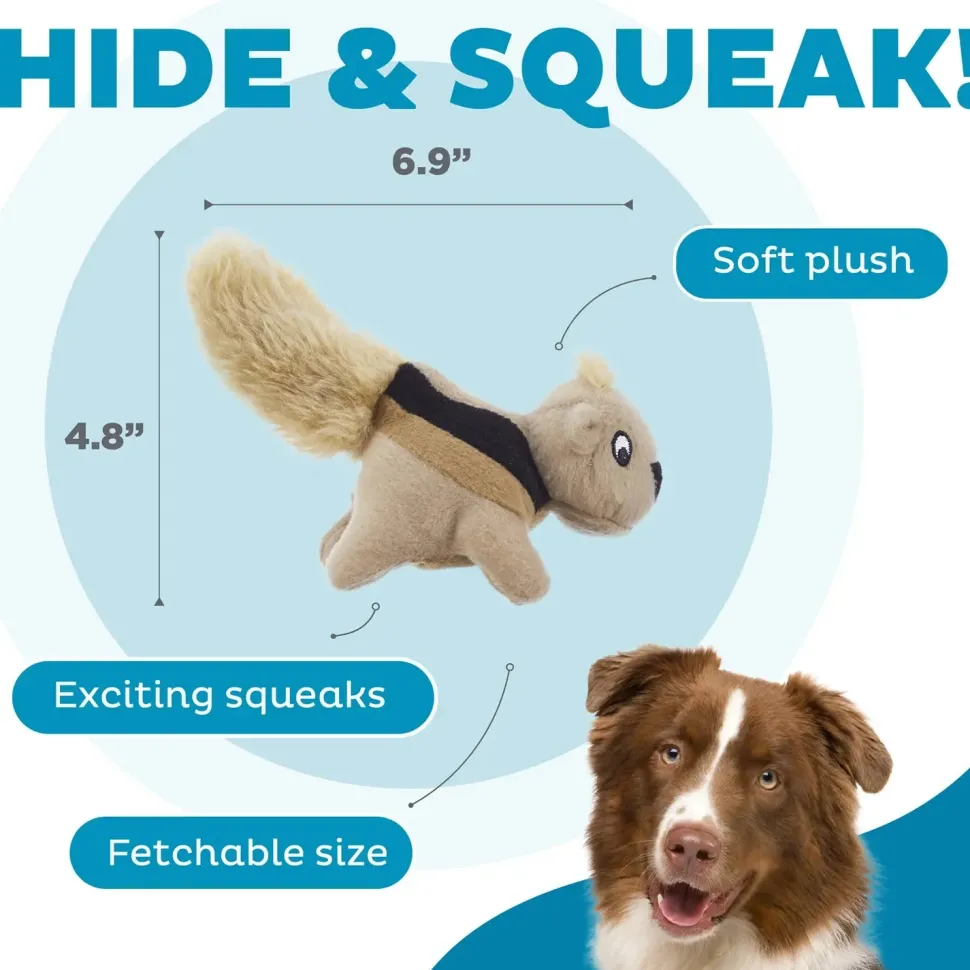 Outward Hound Squeakin' Animals Dog Toy Squirrel 3 Count