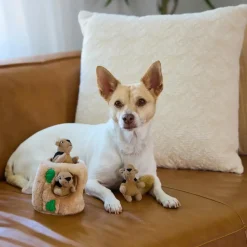 Outward Hound Squeakin' Animals Dog Toy Squirrel 3 Count