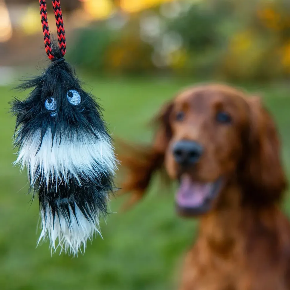 Outward Hound Tail Teaser Dog Wand Toy with Refill Multicolor