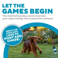Outward Hound Tail Teaser Dog Wand Toy with Refill Multicolor