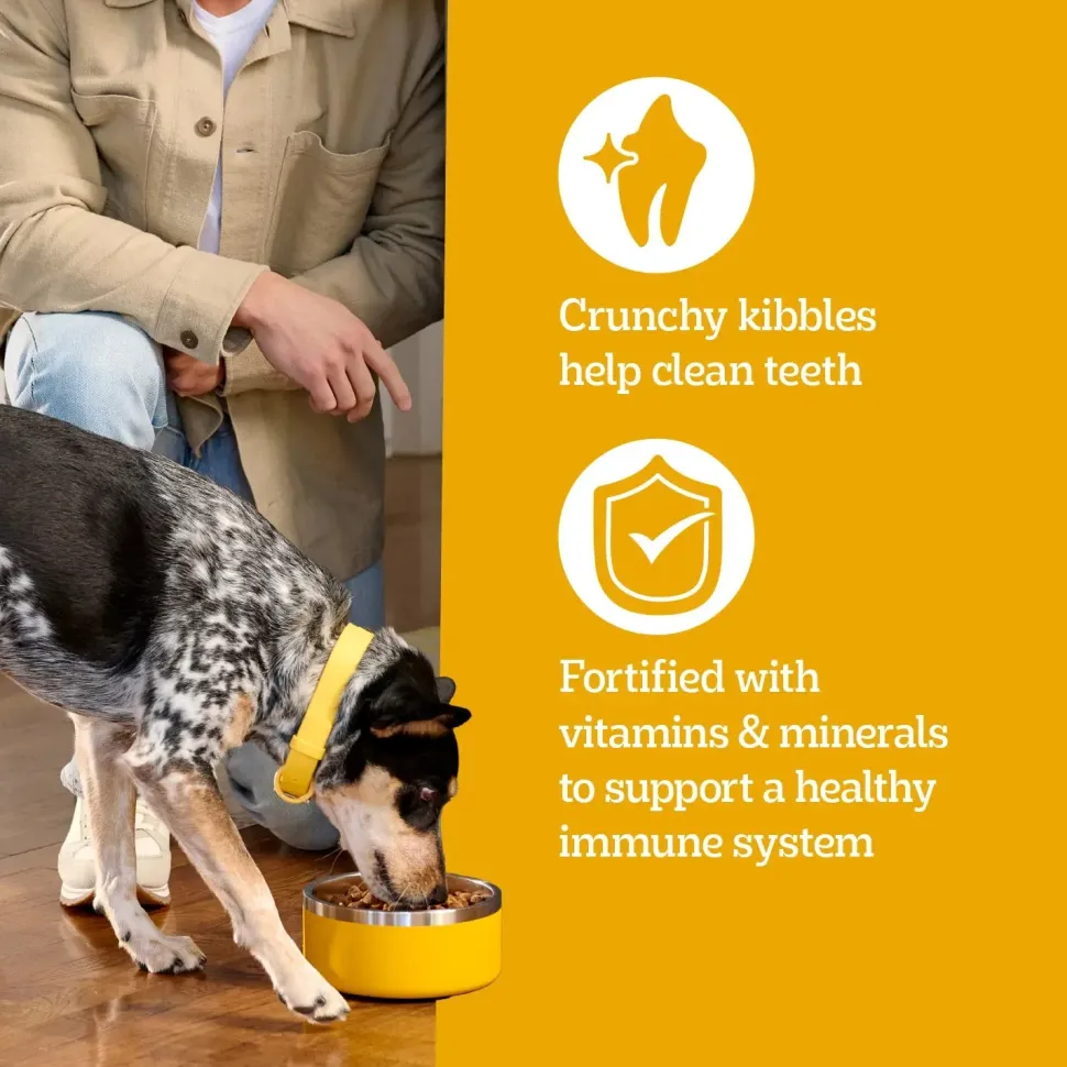 Pedigree Complete Nutrition Tender Bites Small Breed Adult Dry Dog Food Chicken & Steak 3.5-lb