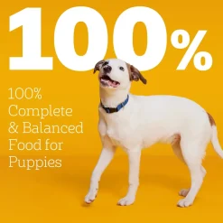Pedigree Puppy Growth & Protection Dry Dog Food Chicken, Rice & Vegetable 3.5-lb