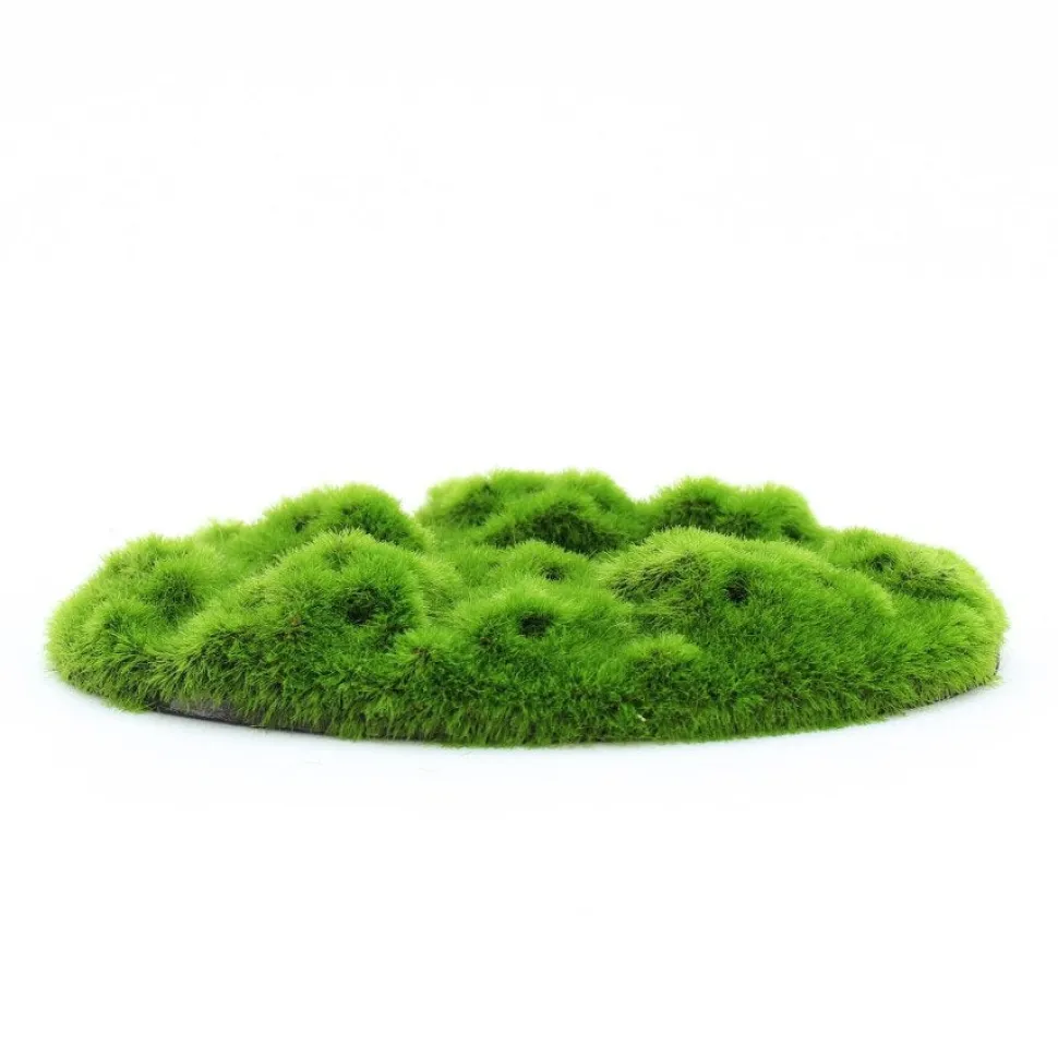 Penn-Plax Aqua-Flora Living Moss Patch Aquarium Ornament One Size