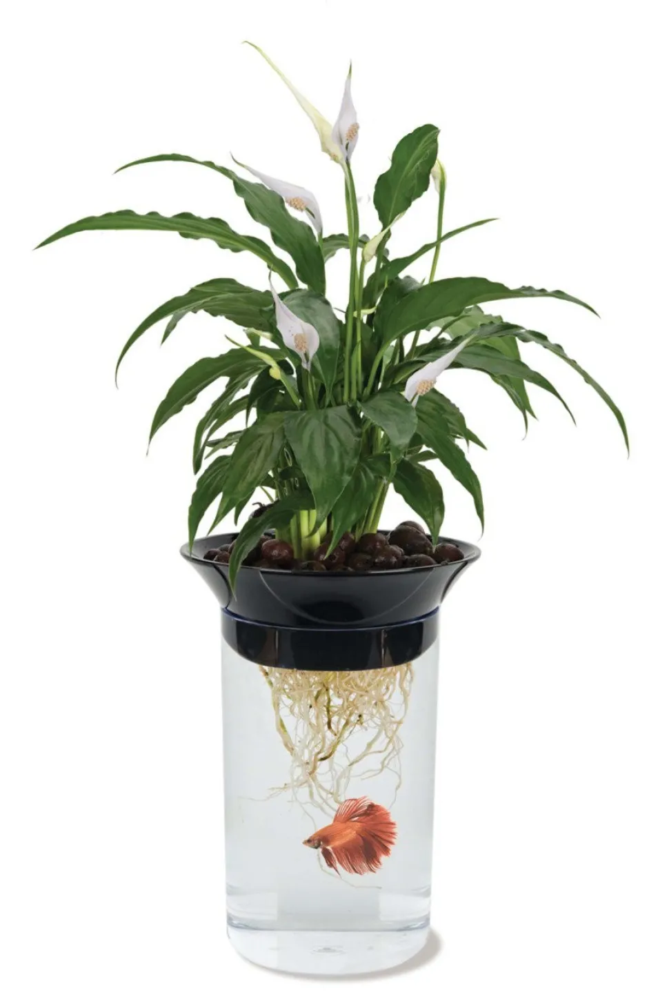 Penn-Plax Nature's Aqua-Ponics Planter Betta Bowl Aquarium Tank Kit for Plants & Fish