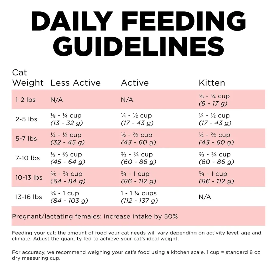 Petcurean Go! Solutions Carnivore Grain-Free Dry Cat Food Salmon & Cod 3-lb