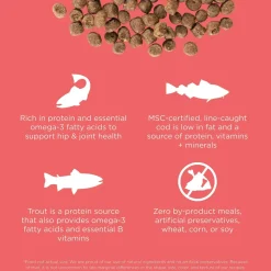 Petcurean Go! Solutions Carnivore Grain-Free Dry Cat Food Salmon & Cod 3-lb