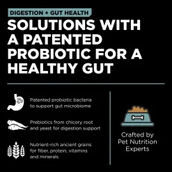 Petcurean Go! Solutions Digestion & Gut Health Dry Cat Food Chicken with Ancient Grains 3-lb