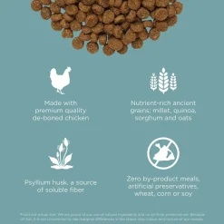 Petcurean Go! Solutions Digestion & Gut Health Dry Cat Food Chicken with Ancient Grains 3-lb