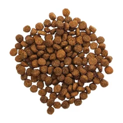 Petcurean Go! Solutions Digestion & Gut Health Dry Cat Food Salmon with Ancient Grains 3-lb