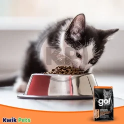 Petcurean Go! Solutions Digestion & Gut Health Dry Cat Food Salmon with Ancient Grains 3-lb