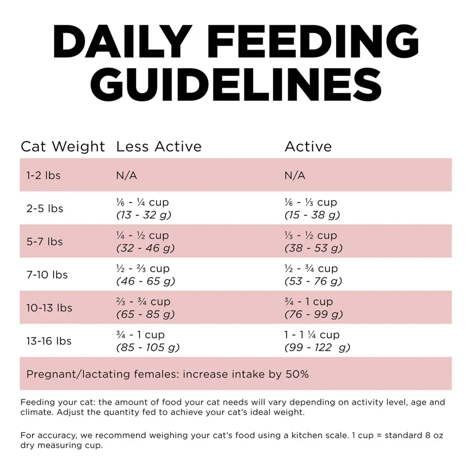 Petcurean Go! Solutions Sensitivities Limited Ingredient Grain-Free Dry Cat Food Salmon 3-lb
