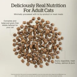 Petcurean Now Fresh Grain-Free Adult Formula Dry Cat Food Turkey, Salmon & Duck 3-lb