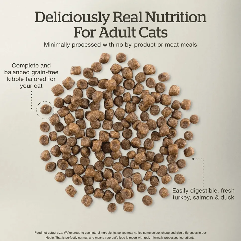 Petcurean Now Fresh Grain-Free Adult Formula Dry Cat Food Turkey, Salmon & Duck 3-lb
