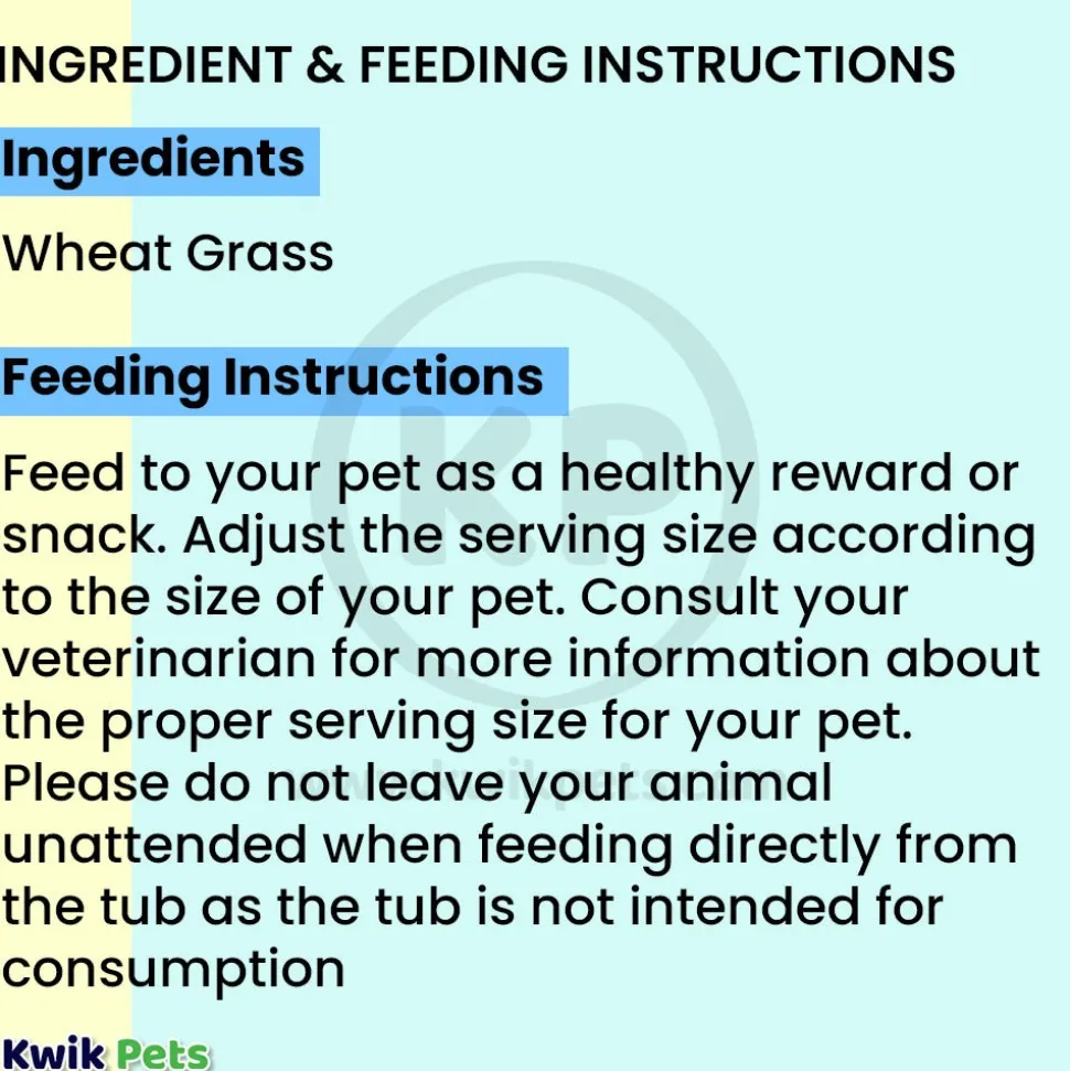 Pet Greens Garden Pet Grass Self-Grow Kit Organic Wheatgrass 3-oz