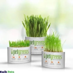 Pet Greens Garden Pet Grass Self-Grow Kit Organic Wheatgrass 3-oz