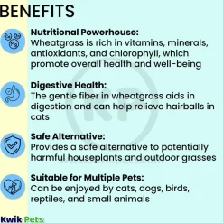 Pet Greens Garden Pet Grass Self-Grow Kit Organic Wheatgrass 3-oz