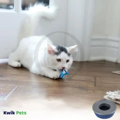 Petmate Cat Crazies Interactive Cat Toys 4 Count