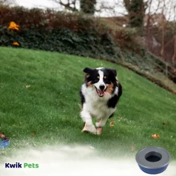 Petmate No Spill Dog Bowl Blue Medium
